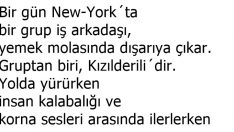 Önemli Olan Nelere Değer Verdiğindir