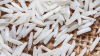 Pirincin Kalorisini Azaltmak İçin Şaşırtıcı Yöntem