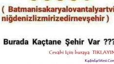 Görsel Zeka Testi: Burada Sizce Kaç Tane Şehir İsmi Var (Dikkat Cevapların Çoğu Yanlış)