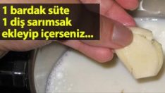 Sarımsaklı sütün faydalarını öğrendiğinizde sofranızdan hiç eksik etmeyeceksiniz