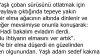 Yaşlı Çoban ve Elma Ağacı