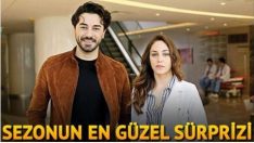 Yaz dizilerinin fenomen çiftleri