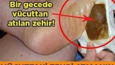BU PEDİ KENDİNİZ HAZIRLAYACAKSINIZ. PARA VERİP ALMADAN KENDİNİZ YAPMAYI ÖGRENİN.