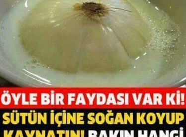 Soğanlı sütün faydaları