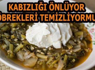 Kabızlığı Önlüyor – Böbrekleri Temizliyor