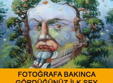 Bu Fotoğraflara Baktığınızda İlk Gördüğünüz Şey Kişiliğinizi Ele Veriyor