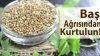 Baş Ağrısına Birebir Bitkisel Kürler