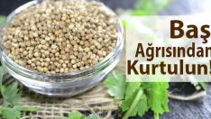 Baş Ağrısına Birebir Bitkisel Kürler
