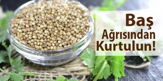 Baş Ağrısına Birebir Bitkisel Kürler