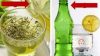 Yeşil Çay Limon Soda İle Zayıflama Kürü