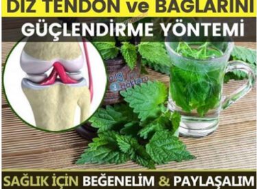 Tendon bağlarını güçlendiren doğal formüller