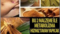 Defne Yaprağı ve Tarçının Nasıl Yağları Yakar