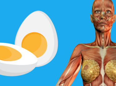 Günde 2 Yumurta Yenildiğinde Vücutta Gerçekleşenler