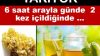 Yağ Yakan Zayıflatan Altın Otu Kürü Nasıl Yapılır