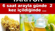 Yağ Yakan Zayıflatan Altın Otu Kürü Nasıl Yapılır