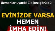 Uzmanlar uyardı! Evinizde varsa hemen imha edin…