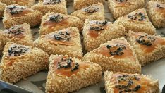 TUZLU ATIŞTIRMALIK