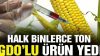 Binlerce ton GDO’lu ürün, GDO’suz numuneler üzerinde yaptırılan sahte analizlerle piyasaya sürüldü!