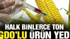 Binlerce ton GDO’lu ürün, GDO’suz numuneler üzerinde yaptırılan sahte analizlerle piyasaya sürüldü!