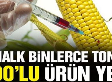 Binlerce ton GDO’lu ürün, GDO’suz numuneler üzerinde yaptırılan sahte analizlerle piyasaya sürüldü!