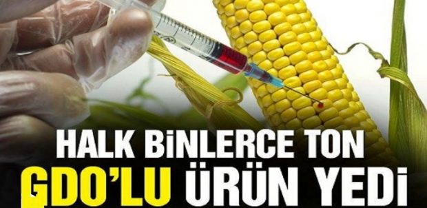 Binlerce ton GDO’lu ürün, GDO’suz numuneler üzerinde yaptırılan sahte analizlerle piyasaya sürüldü!