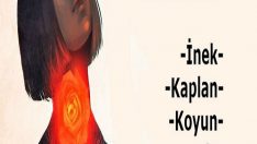 Doğruluk Oranıyla Şaşırtan 3 Soruluk Tibet Kişilik Testi