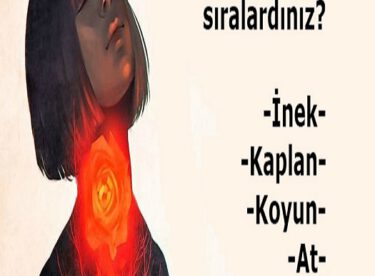 Doğruluk Oranıyla Şaşırtan 3 Soruluk Tibet Kişilik Testi