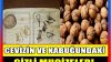 Ceviz ve Kabuğundaki Gizli Mucizeler…