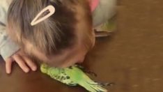 Kızını kuşu öldürmekle suçlayıp videoya çeken anneye tepkiler çığ gibi ?