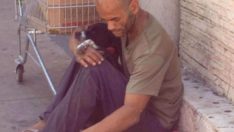 Evsiz Adamın Sokak Köpekleri İçin Yaptığını Görünce Duygulanacaksınız