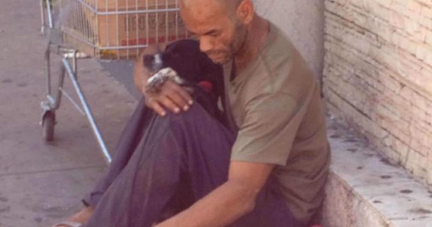 Evsiz Adamın Sokak Köpekleri İçin Yaptığını Görünce Duygulanacaksınız