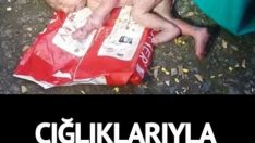 Hindistan’da korkunç olay
