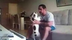 Nişanlısının Köpeğine Yaptığını Görünce Düğünü İptal Etti