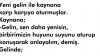 Gelin Kaynana
