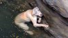 Kuyuda Mahsur Kalan Zavallı Köpek Kurtarıcısına Böyle Teşekkür Etti