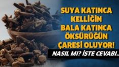 Kellikten Akneye, Sinüzitten Strese Birçok Faydası Olan Karanfili Nasıl Tüketmeli