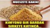 Bir Bardak Sirkenin İçerisine Kimyonu Atın ve Mucizeye Tanık Olun!