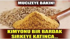 Bir Bardak Sirkenin İçerisine Kimyonu Atın ve Mucizeye Tanık Olun!