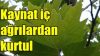 Kireçlenmeye Karşı Doğal Mucize (Sonuçları Çok Başarılı)