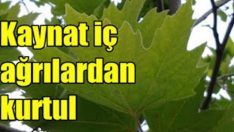 Kireçlenmeye Karşı Doğal Mucize (Sonuçları Çok Başarılı)