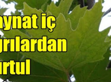 Kireçlenmeye Karşı Doğal Mucize (Sonuçları Çok Başarılı)