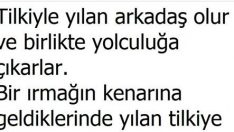 Tilkiyle Yılan
