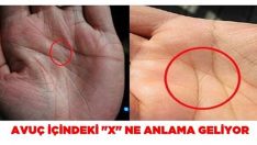 Avuç içindeki x ne anlama geliyor?