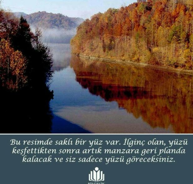 Resimdeki yüzü insanların yüzde 90’ı göremiyor, görebildiysen görsel zekanla övünebilirsin