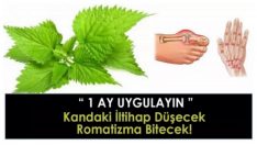 Bir Ay Uygulayın Kandaki iltihap Düşecek, Romatizma Bitecek