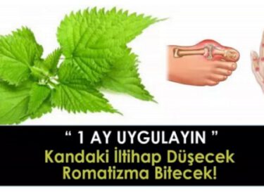 Bir Ay Uygulayın Kandaki iltihap Düşecek, Romatizma Bitecek