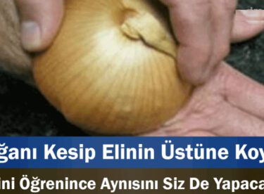 Soğanı Kesip Elinin Üstüne Koydu Nedenini Öğrenince Aynısını Siz De Yapacaksınız.