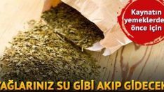 Yağ yakan mucizevi bitkisel çaylar Devamı için tıklayınız
