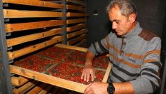 Hobi olarak başladılar, iki kardeş şimdi talebe yetişemiyor