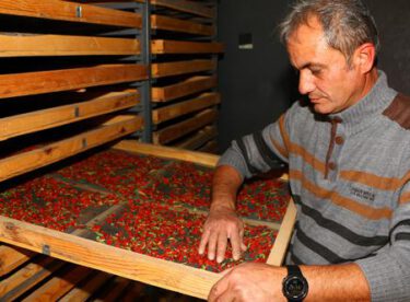 Hobi olarak başladılar, iki kardeş şimdi talebe yetişemiyor